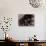 Blemish-Petr Strnad-Mounted Photographic Print displayed on a wall