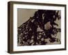 Blemish-Petr Strnad-Framed Photographic Print