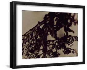 Blemish-Petr Strnad-Framed Photographic Print