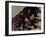 Blemish-Petr Strnad-Framed Photographic Print