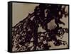 Blemish-Petr Strnad-Framed Stretched Canvas