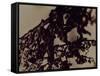 Blemish-Petr Strnad-Framed Stretched Canvas