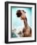 Blemsort-Stephen Arens-Framed Photographic Print