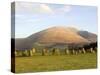 Blencathra from Castlerigg Stone Circle, Keswick, Lake District National Park, Cumbria, England, Un-James Emmerson-Stretched Canvas