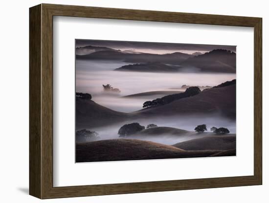 Blend of Hills and Fog, Magic Morning in Sonoma, Petaluma California-Vincent James-Framed Photographic Print