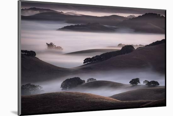 Blend of Hills and Fog, Magic Morning in Sonoma, Petaluma California-Vincent James-Mounted Photographic Print