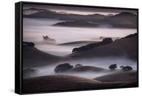 Blend of Hills and Fog, Magic Morning in Sonoma, Petaluma California-Vincent James-Framed Stretched Canvas