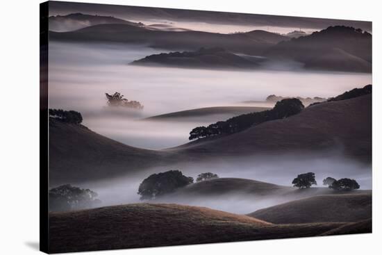 Blend of Hills and Fog, Magic Morning in Sonoma, Petaluma California-Vincent James-Stretched Canvas