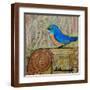 Brown Frame