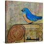 Stretched Canvas