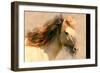 Blended Horse I-Kim Curinga-Framed Art Print