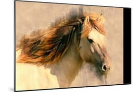 Blended Horse I-Kim Curinga-Mounted Art Print