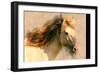 Blended Horse I-Kim Curinga-Framed Premium Giclee Print