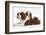 Blenheim Cavalier King Charles Spaniel Mother and Puppy-Mark Taylor-Framed Photographic Print