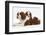 Blenheim Cavalier King Charles Spaniel Mother and Puppy-Mark Taylor-Framed Photographic Print