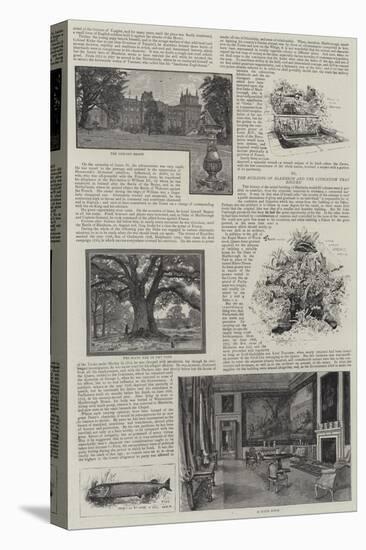 Blenheim Palace Illustrated-Henry Edward Tidmarsh-Stretched Canvas
