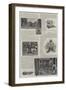 Blenheim Palace Illustrated-Henry Edward Tidmarsh-Framed Giclee Print