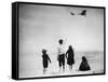 Blériot English Channel Flight, 1909-Science Source-Framed Stretched Canvas