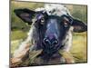 Bless Ewe-CR Townsend-Mounted Art Print