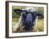 Bless Ewe-CR Townsend-Framed Art Print