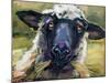 Bless Ewe-CR Townsend-Mounted Art Print