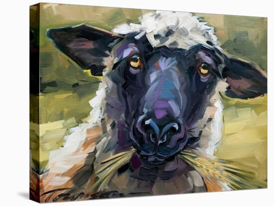 Bless Ewe-CR Townsend-Stretched Canvas