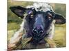 Bless Ewe-CR Townsend-Mounted Art Print