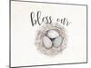 Bless Our Nest-Ann Bailey-Mounted Art Print