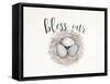 Bless Our Nest-Ann Bailey-Framed Stretched Canvas