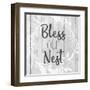 Bless Our Nest-Kimberly Allen-Framed Art Print