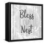 Bless Our Nest-Kimberly Allen-Framed Stretched Canvas