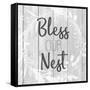 Bless Our Nest-Kimberly Allen-Framed Stretched Canvas