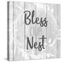 Bless Our Nest-Kimberly Allen-Stretched Canvas