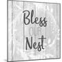 Bless Our Nest-Kimberly Allen-Mounted Art Print