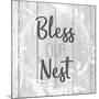 Bless Our Nest-Kimberly Allen-Mounted Art Print