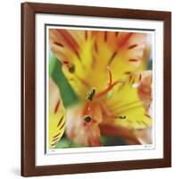 Blessed-Michelle Wermuth-Framed Giclee Print
