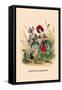 Bleuet et Coquelicot-J.J. Grandville-Framed Stretched Canvas