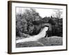 Blewbury Walls-Staniland Pugh-Framed Photographic Print