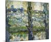 Blick auf Arles, c.1889-Vincent van Gogh-Mounted Art Print