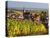Blienschwiller, Alsatian Wine Route, Alsace Region, Bas-Rhin, France-Walter Bibikow-Stretched Canvas