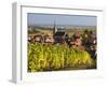 Blienschwiller, Alsatian Wine Route, Alsace Region, Bas-Rhin, France-Walter Bibikow-Framed Photographic Print