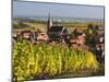 Blienschwiller, Alsatian Wine Route, Alsace Region, Bas-Rhin, France-Walter Bibikow-Mounted Photographic Print