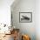 Blimp, Zeppelin No. 3, on Ground-null-Framed Premium Photographic Print displayed on a wall