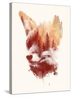 Blind Fox-Robert Farkas-Stretched Canvas