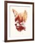 Blind Fox-Robert Farkas-Framed Art Print