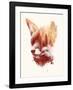 Blind Fox-Robert Farkas-Framed Art Print