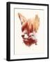 Blind Fox-Robert Farkas-Framed Art Print