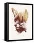 Blind Fox-Robert Farkas-Framed Stretched Canvas