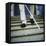 Blind Man Descending Stairs-Cristina-Framed Stretched Canvas