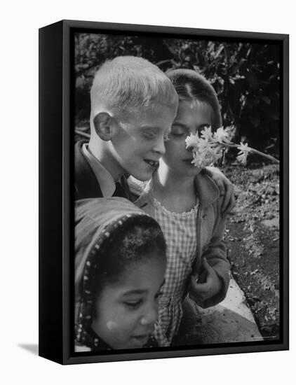 Blind School Children During an Outing in Brooklyn Botanical Gardens of Fragrance-Lisa Larsen-Framed Stretched Canvas